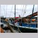 shetland040.jpg